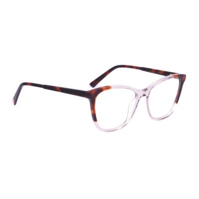 Armação Ana Hickmann AH60024 G21