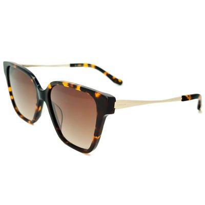 Óculos Solar Bulget BG9184 G21