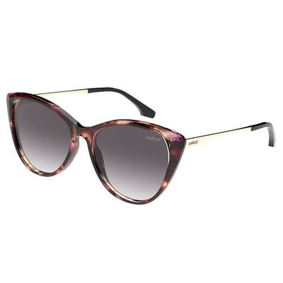 Óculos Solar Colcci C0123FA533