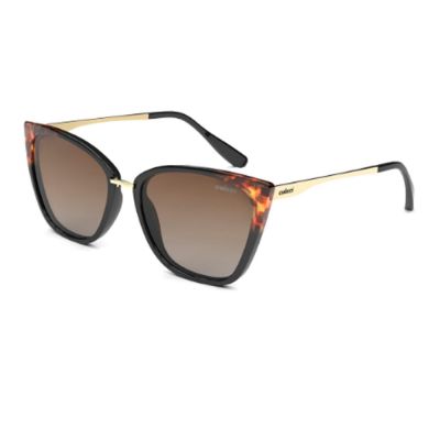 Óculos Solar Colcci C0154AFR34