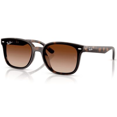 Óculos Solar Ray-Ban RB4461D 710/1364