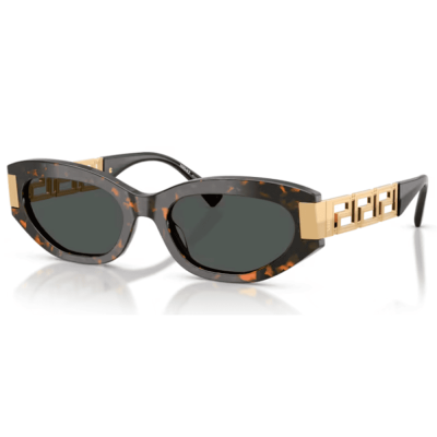 Óculos Solar Versace VE4501 55288754