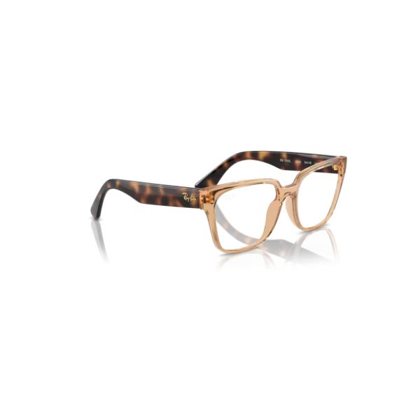 ARMACAO RAY-BAN RX7242L 8348 54
