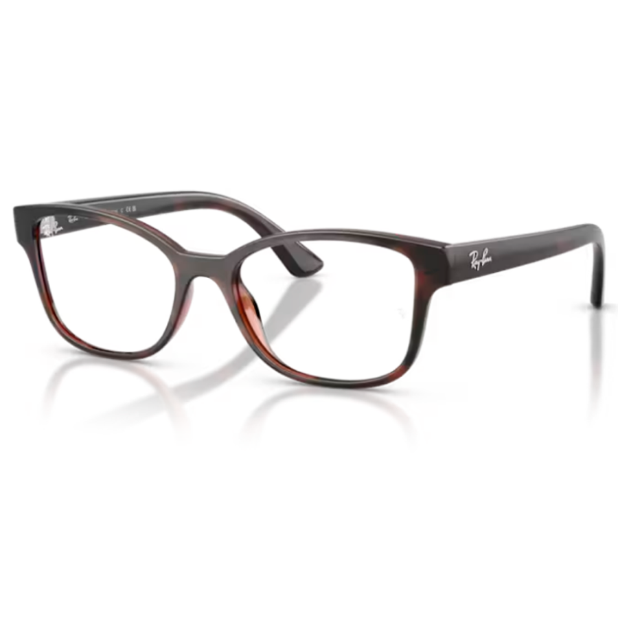 ARMACAO RAY-BAN RX7269L 2012 52