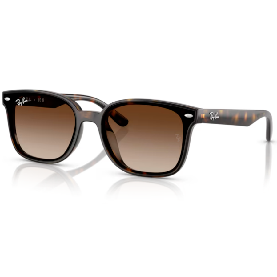 OCULOS SOLAR RAY-BAN RB4461D 710/1364