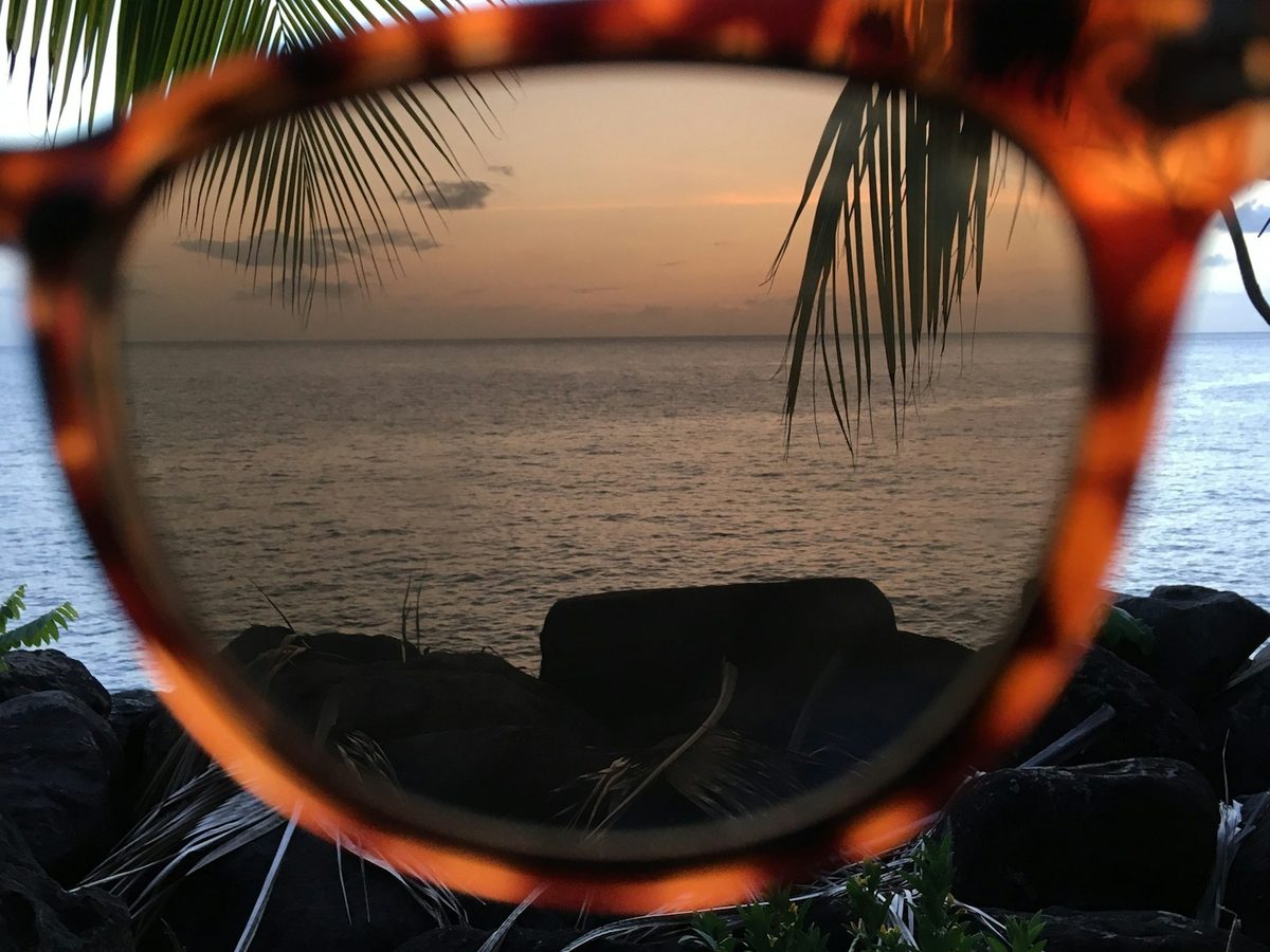 Óculos de sol tartaruga com vista do mar